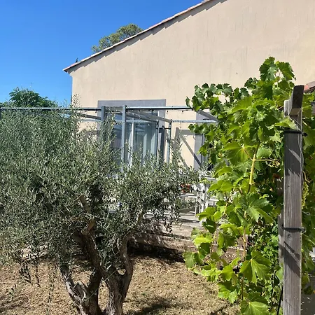 Jolie 180 M2 6 Pers Piscine Clim Villa *